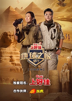 怒放的花儿